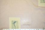 Get a Sample of this Closeout JF Fabrics Calla Lilly Polyester Sheer Designer Drapery Fabric on Sale