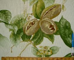 Sample of Design Cheap Clearance Sale P Kaufmann Earthly Delights Color Spring Home Decor 