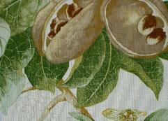 Swatch of Design Cheap Clearance Sale P Kaufmann Earthly Delights Color Spring Home Decor