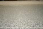 get a sample of this Design Cheap with Closeout Casement Window Treatment Fabric Color Butter Cream