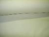Coconut White Color Sailcloth Fabric for Home Decor by Fabricut Fabrics
