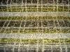 $3.00 yard  heavy duty yellow brown tan green plaid upholstery fabric