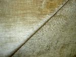 Latimer Alexander Fabrics Cotton Velvet Fabric Pattern Brussels Color Fawn Sample