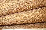Get a Sample of this Markdown Cone Fabrics Pattern Santini/WF Color 002-52 Upholstery Fabric - click go to store
