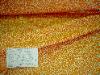 P Kaufmann Fabrics Cub Color Tangerine Home Decor Multiuse Fabric