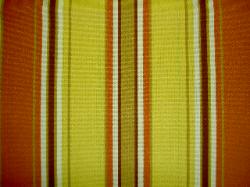 Color Salsa
