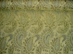 Weatherwize Paisley Toss O SHO 2 Fabric for Indoor Outdoor Use