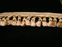 Trim Colorado Treasure