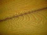 Closeup folded Fabric Warehouse Outlet Clearance Sale P Kaufmann Versailles Drapery Fabrics Tomato